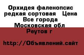 Орхидея фаленопсис редкая сортовая › Цена ­ 800 - Все города  »    . Московская обл.,Реутов г.